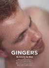 Gingers1.jpg