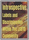 Introspective - Labels and Discrimination Within the LGBTQ Community