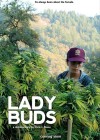 Lady-Buds2.jpg