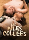 Les-Ailes-collees.jpg