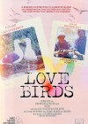Love Birds
