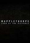 Mapplethorpe-Look.jpg