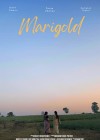 Marigold-2022.jpg