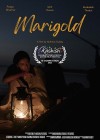 Marigold-2022b.jpg