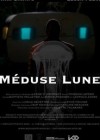 Meduse-Lune.jpg