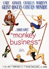 Monkey-Business.jpg