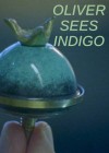 Oliver Sees Indigo