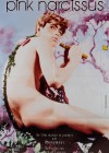 Pink-Narcissus4.jpg