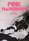 Pink-Narcissus6.jpg