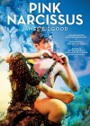 Pink Narcissus