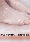 Pinprick-2017.jpg