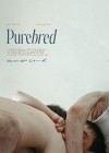 Purebred-2025.jpg