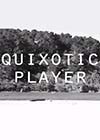 Quixotic-Player.jpg