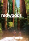 Redwoods-David-Lewis2.jpg