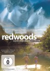 Redwoods-David-Lewis4.jpg