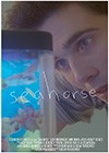 Seahorse-Drew-Praskovich.jpg
