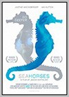 Seahorses