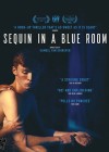 Sequin-in-a-Blue-Room2.jpg