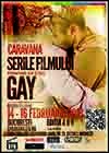 Serile-Filmului-Gay-2013.jpg