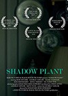 Shadow-Plant.jpg
