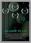 Shadow Plant
