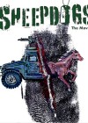 Sheepdogs