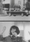 Spy-on-the-fly.jpg