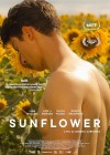 Sunflower-2023c.jpg