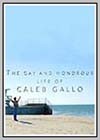 Gay and Wondrous Life of Caleb Gallo (The)