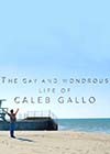 The-Gay-and-Wondrous-Life-of-Caleb-Gallo.jpg