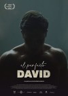 Perfect David (The)