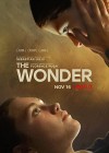 Wonder (The)