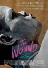 Wound (The)