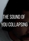 Sound of You Collapsing (The)