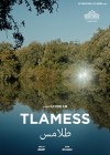 Tlamess