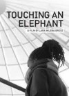 Touching-an-Elephant.jpg