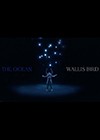 Wallis-Bird-The-Ocean.jpg