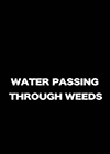 Water-passing-Through-Weeds.png