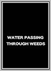 Water Passing Through Weeds