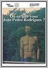 Where Do You Stand Now, João Pedro Rodrigues?