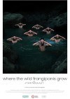 Where-the-Wild-Frangipanis-Grow.jpg