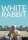 White-Rabbit.jpg