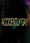accidently-gay.jpg