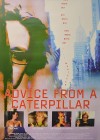 advice-from-a-caterpillar.jpg