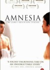 amnesia-the-james-brighton-enigma3.jpg