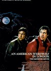 American Werewolf in London (An)