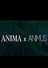 Anima X Animus