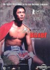 beautiful-boxer3.jpg