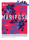 butterfly-marco-berger.jpg