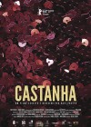 Castanha